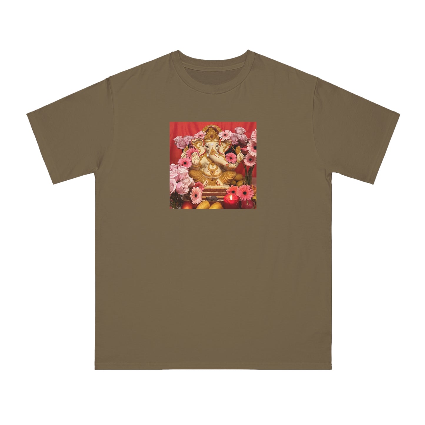 Shri Ganesha Blessings Organic Unisex Classic T-Shirt
