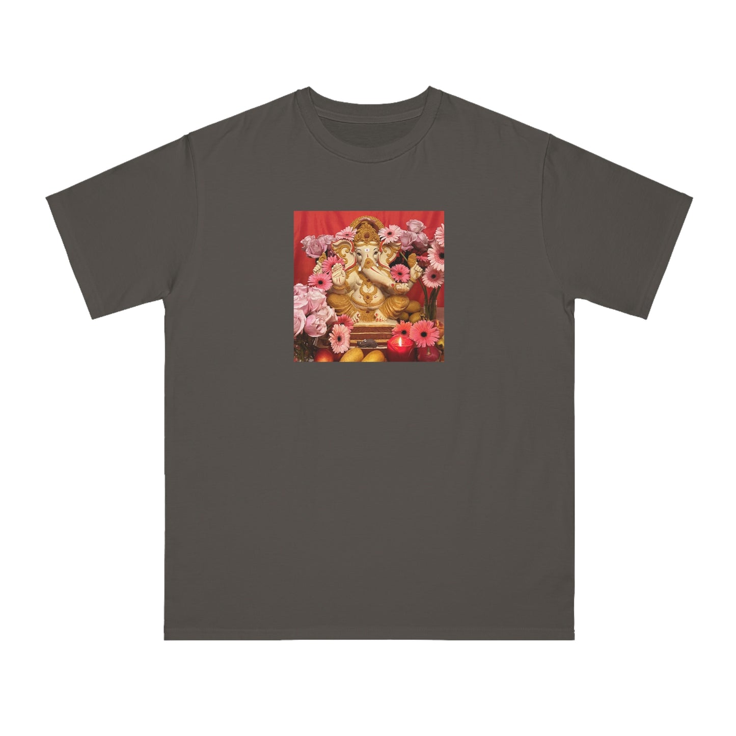 Shri Ganesha Blessings Organic Unisex Classic T-Shirt