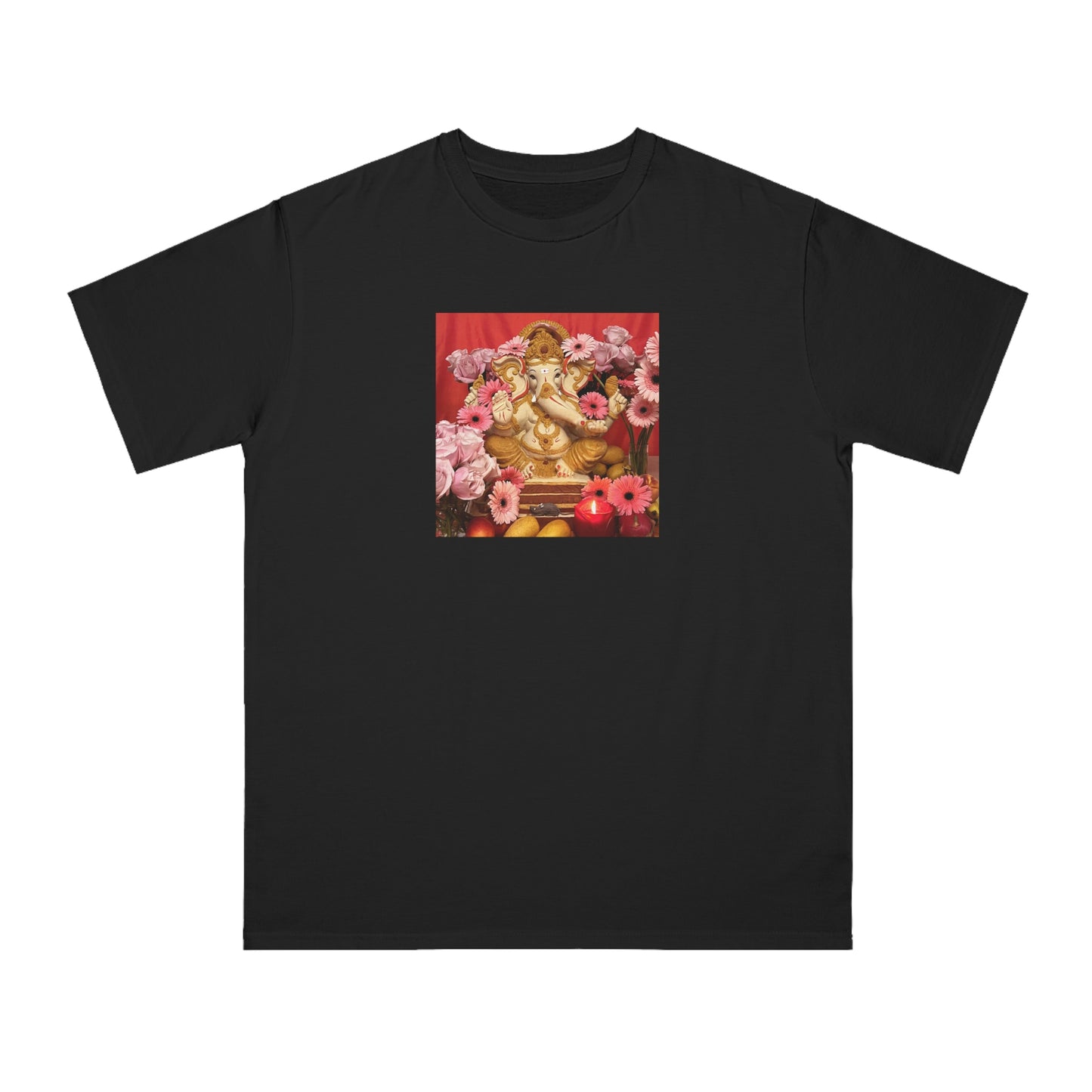 Shri Ganesha Blessings Organic Unisex Classic T-Shirt
